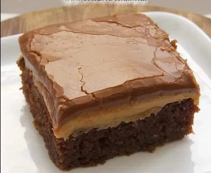 Bolo de fudge de manteiga de amendoim decorado com amendoins